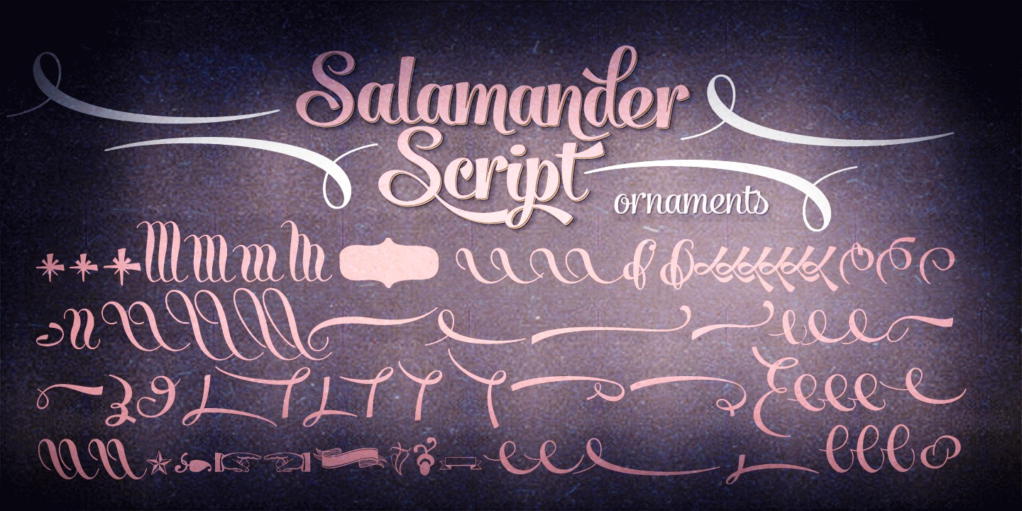 Beispiel einer Salamander-Schriftart #3
